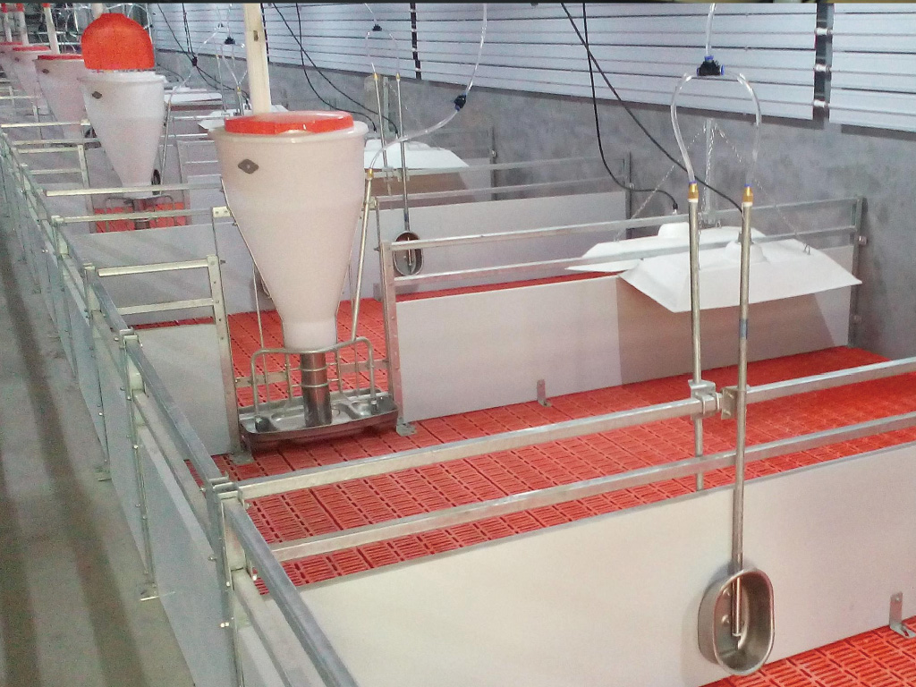 Easy to install ,clean and disinfect, a good environment for piglets nursing.
The floor adopts plastic manure dropping board, the faeces can drop through the gaps of the floor,it can prevent the environmental pollution and disease, and improve the s