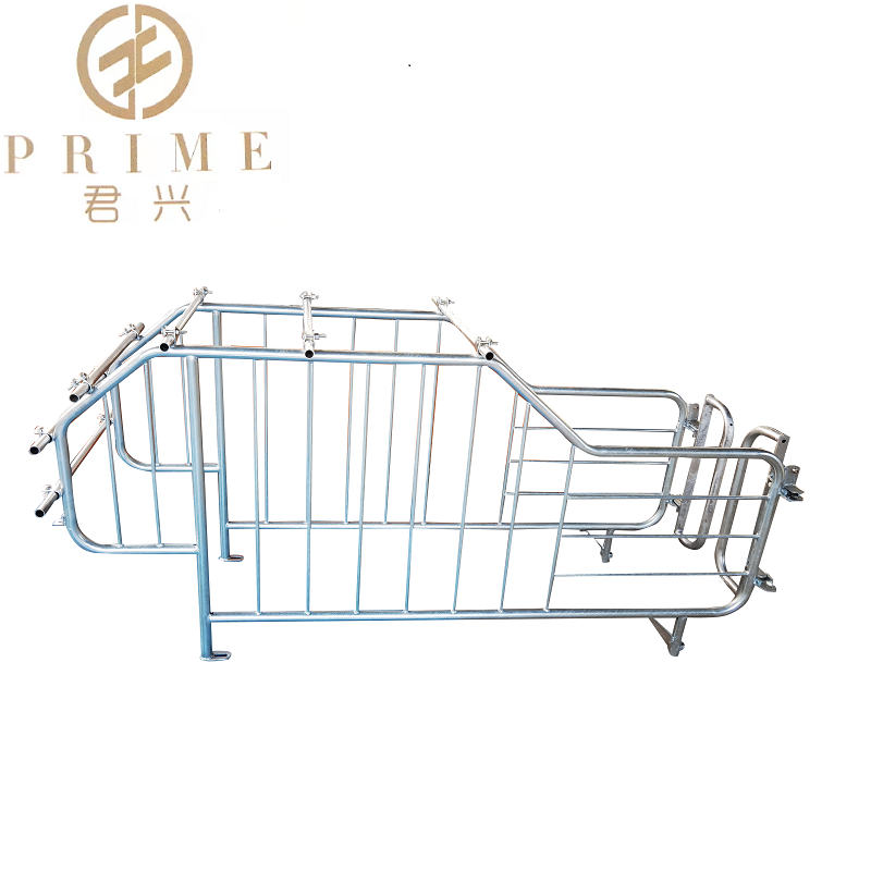 PIG Gestation crates Hog fence pen