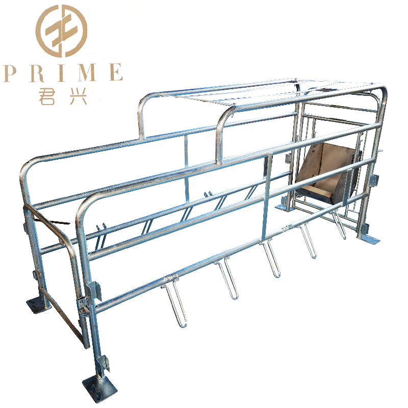 Hog Farrowing crates