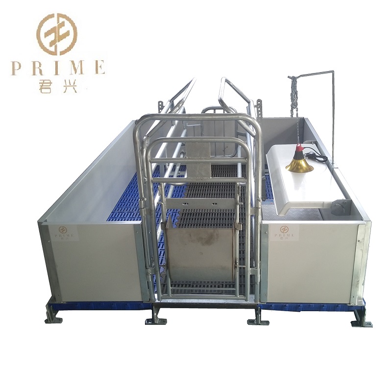 Hog Farrowing crates