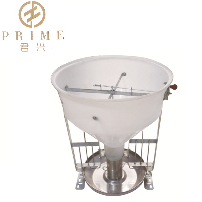 Pig dry feeder trough