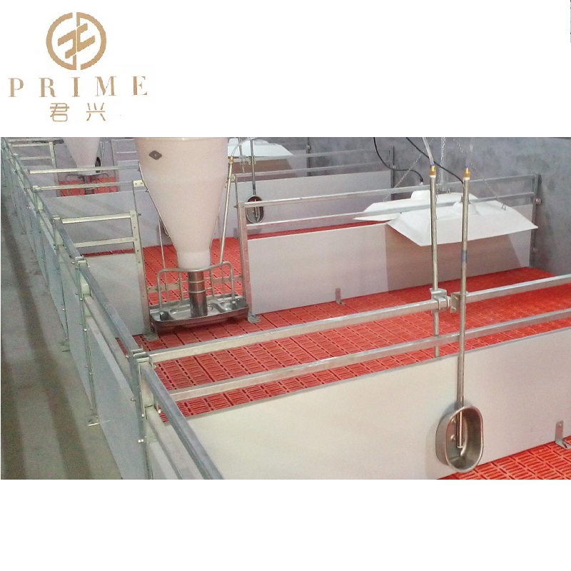 Pig dry feeder trough