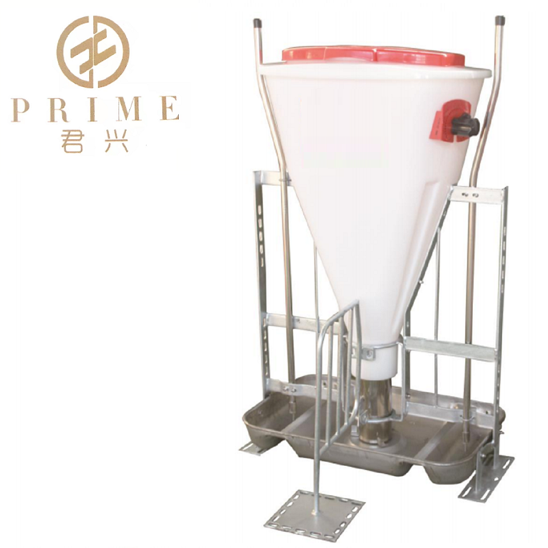  Pig automatic feeder 2